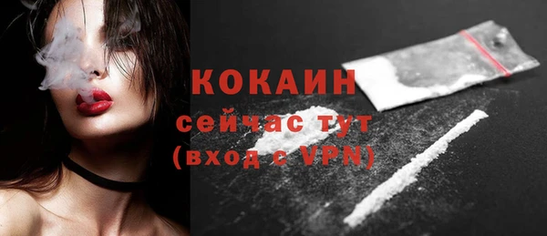прущие грибы Магас