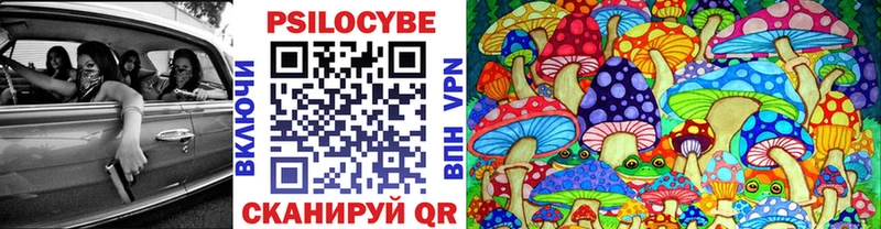 Псилоцибиновые грибы прущие грибы  Кольчугино 