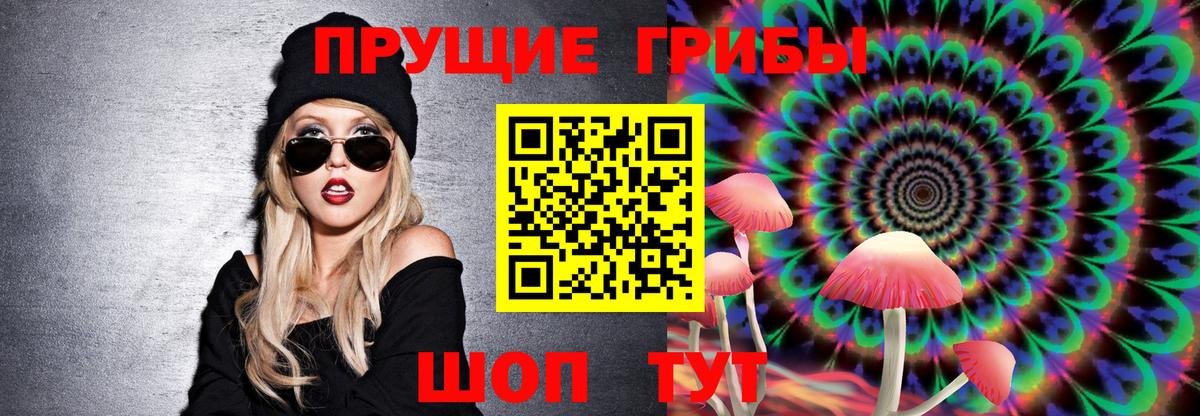 Псилоцибиновые грибы Psilocybine cubensis  Кольчугино 