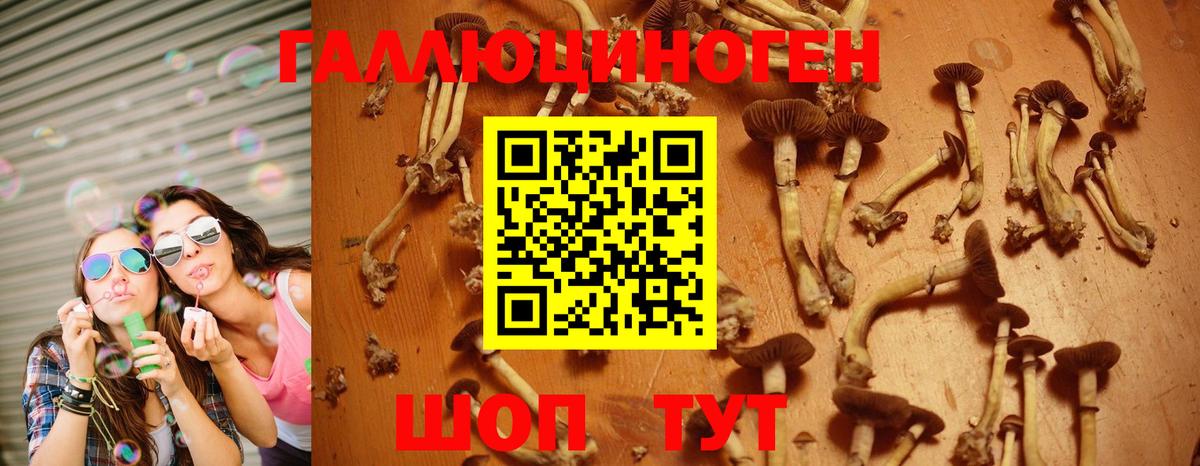 Галлюциногенные грибы ЛСД Кольчугино