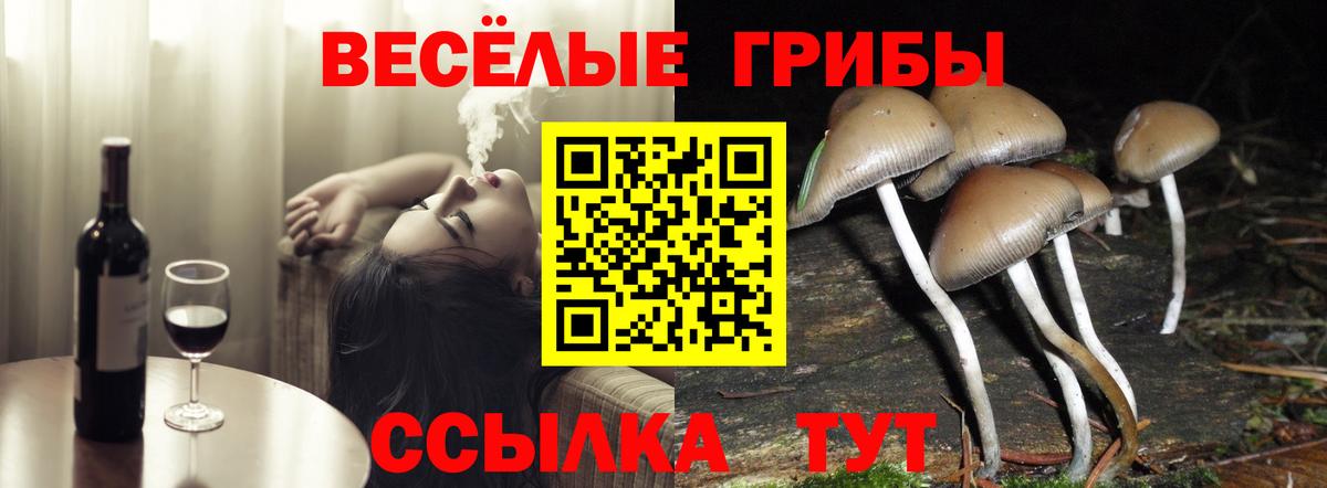 Кольчугино  Галлюциногенные грибы Cubensis  Галлюциногенные грибы ЛСД  Вход с VPN 