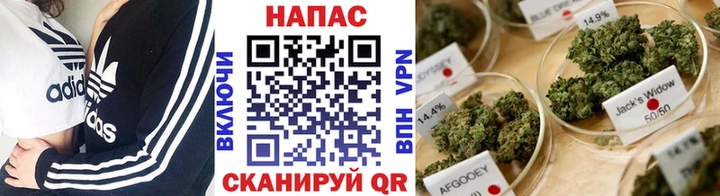 shop состав  даркнет сайт  Кольчугино  Конопля гибрид 